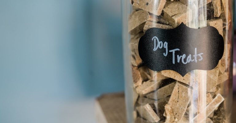 11 Tiny Home Pet Storage Hacks That Transform Every Inch