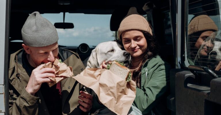 10 Best Pet Food Storage Solutions for Van Life That Maximize Every Inch