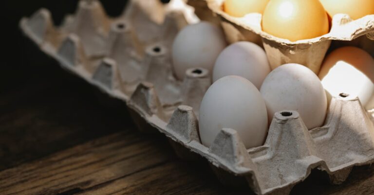 10 Best Hydroponic Systems for Tiny Home Food Production That Maximize Space