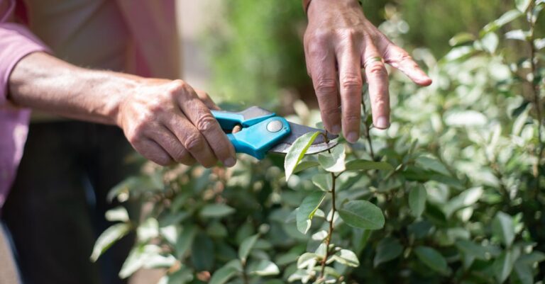 12 Seasonal Maintenance Tips for Tiny Homes That Maximize Every Square Foot