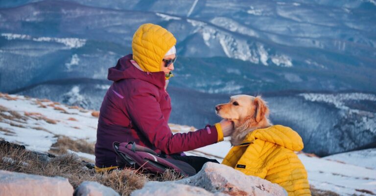 10 Best RV-Friendly Pet Supplies for Travel Convenience to Enhance Comfort