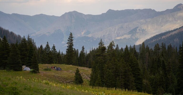 11 Tips for Quiet Camping Near Highways That Restore Peace & Solitude